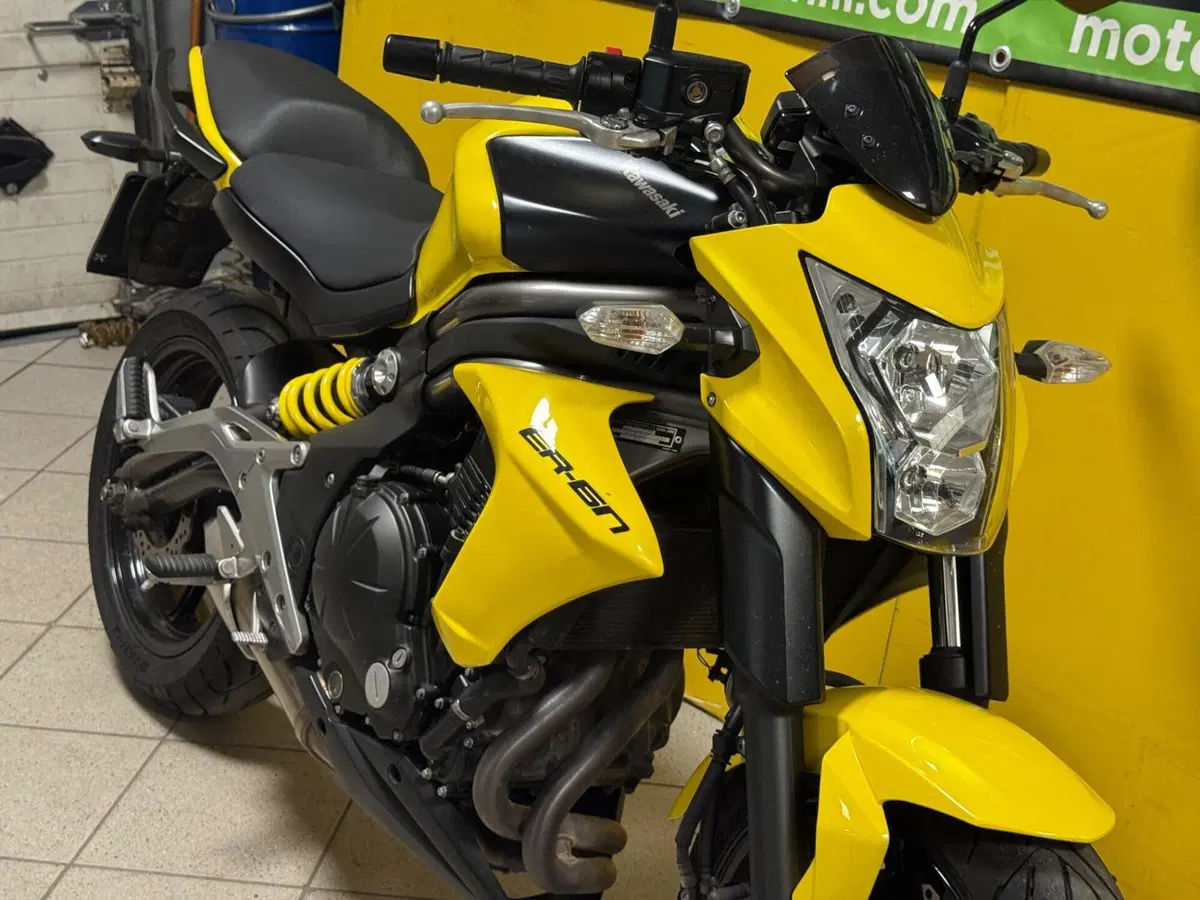 Kawasaki ER-6N (2012 - 13) (6)