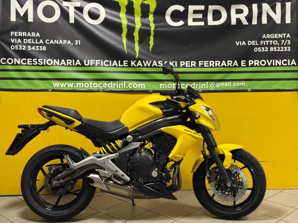 Kawasaki ER-6N (2012 - 13) (7)