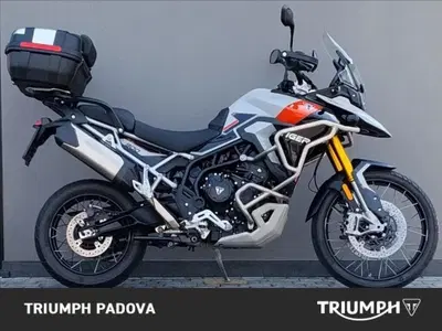 Triumph Tiger 900 Rally Pro (2024 - 26) usata