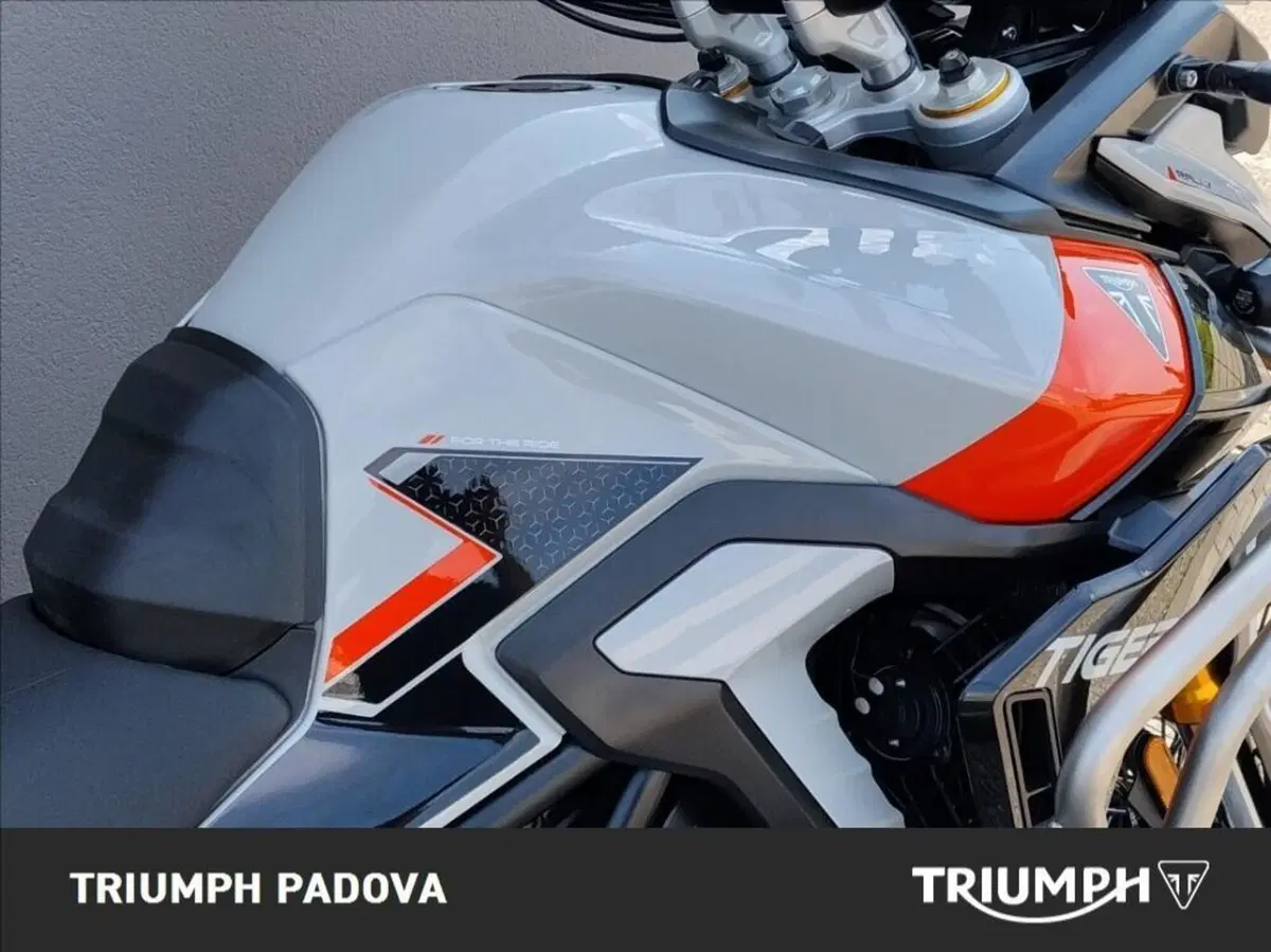 Triumph Tiger 900 Rally Pro (2024 - 26) (4)