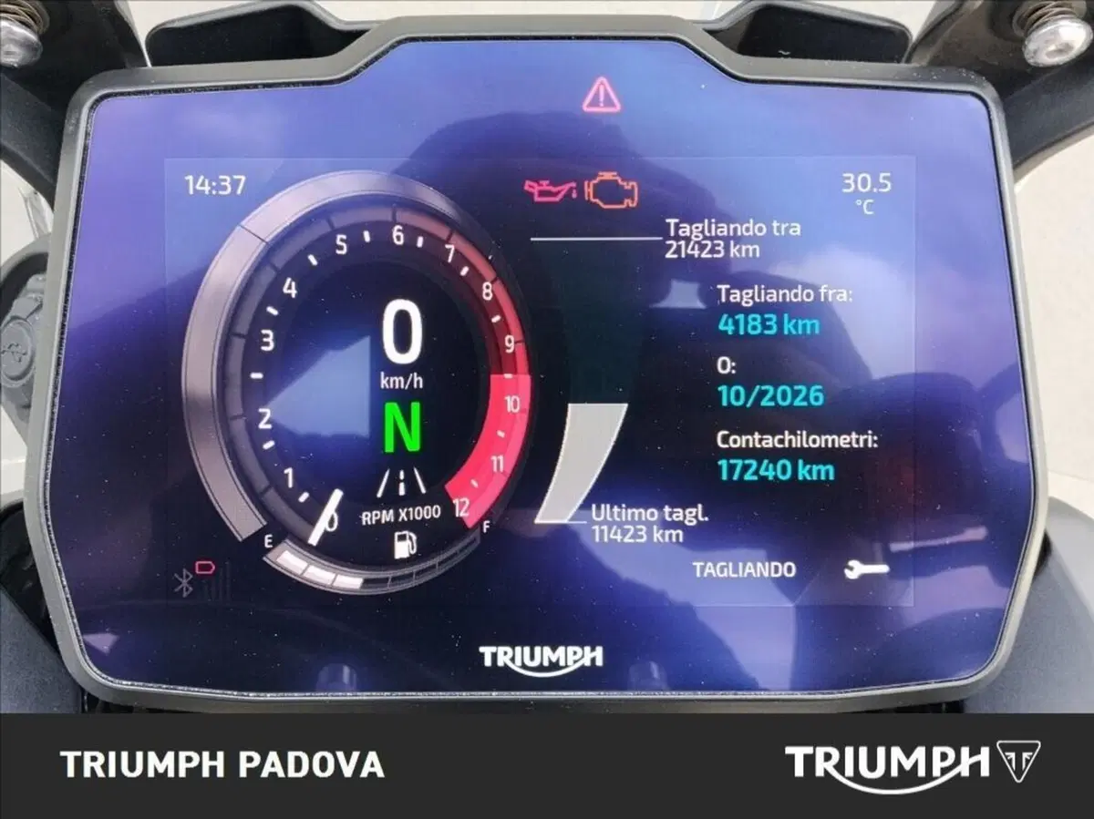 Triumph Tiger 900 Rally Pro (2024 - 26) (13)