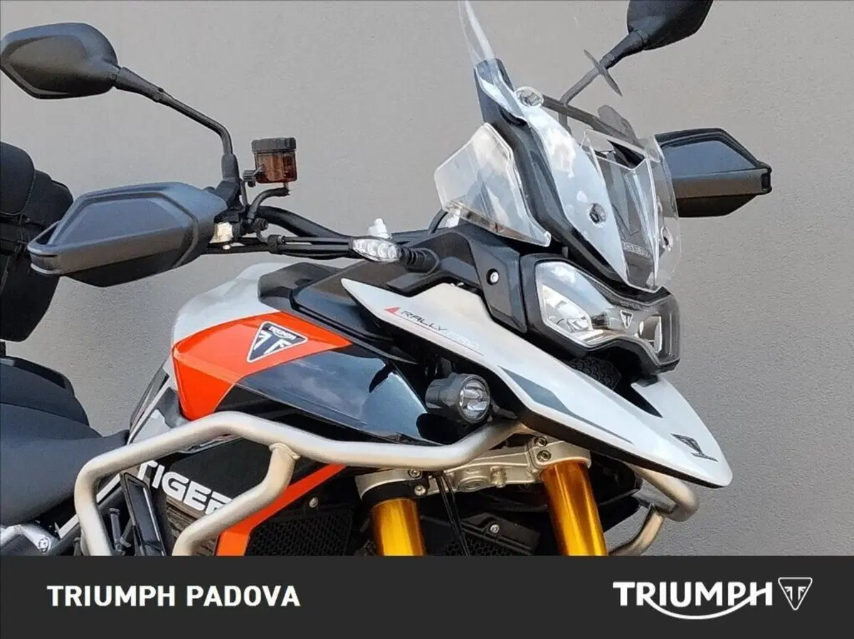 Triumph Tiger 900 Rally Pro (2024 - 26) (5)
