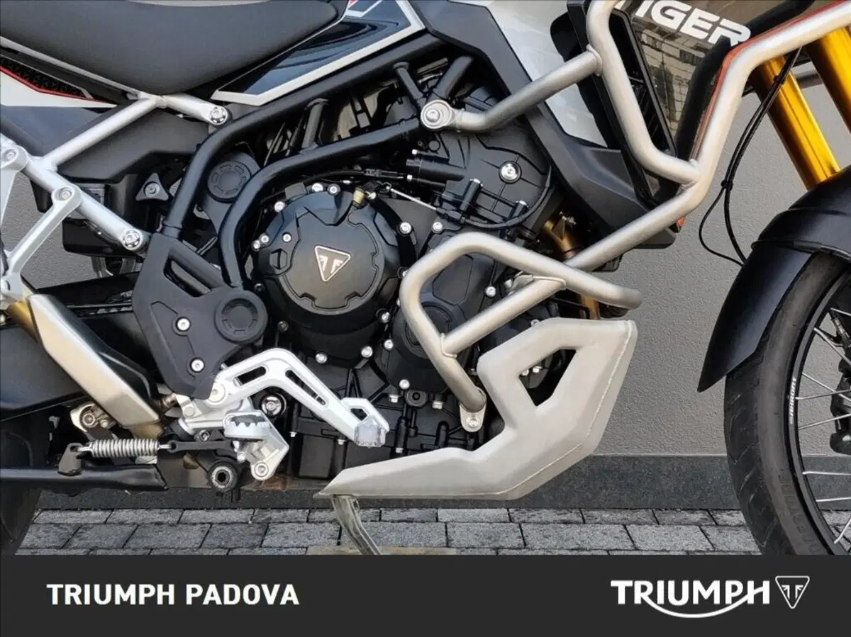 Triumph Tiger 900 Rally Pro (2024 - 26) (3)