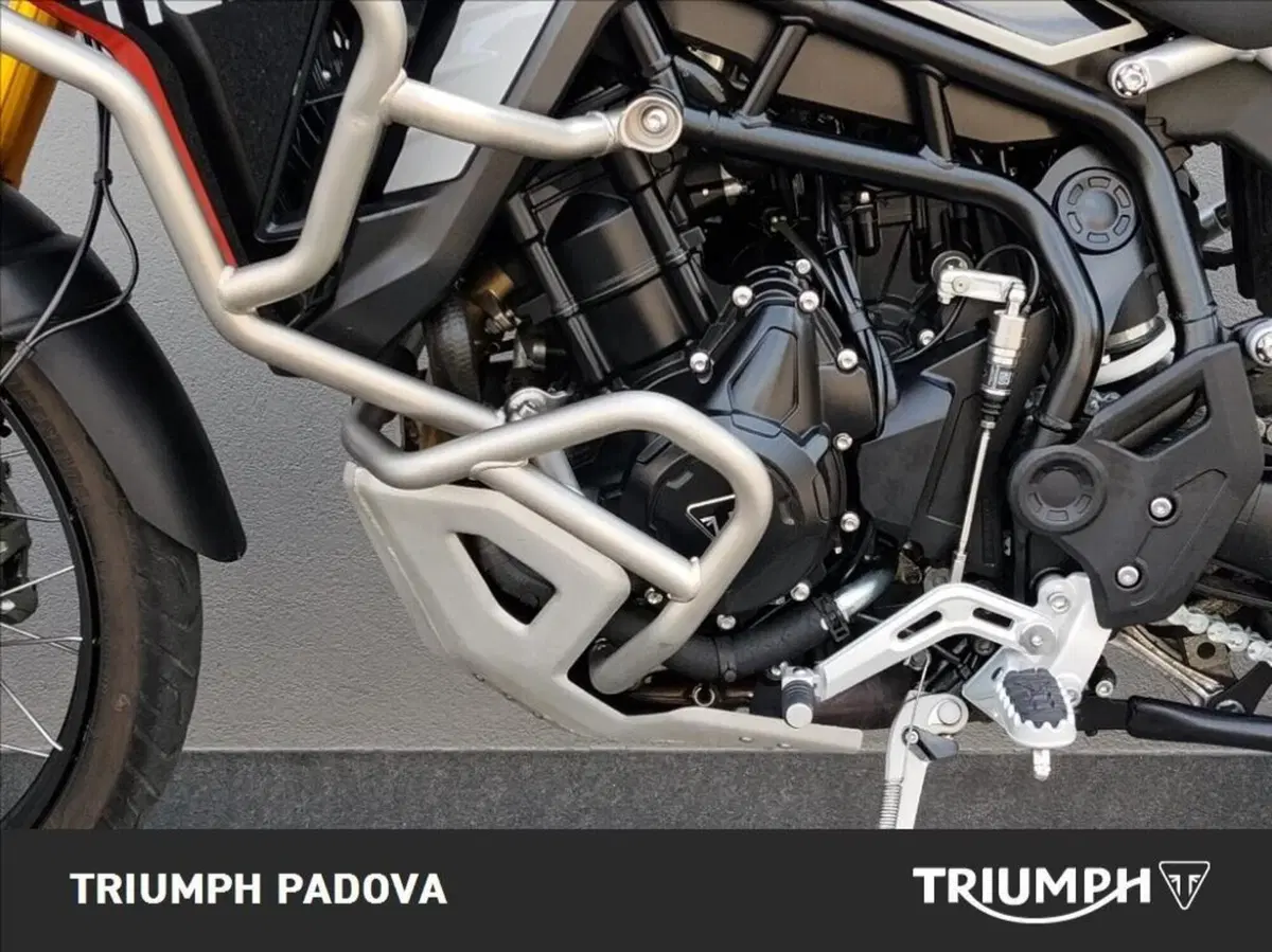 Triumph Tiger 900 Rally Pro (2024 - 26) (8)