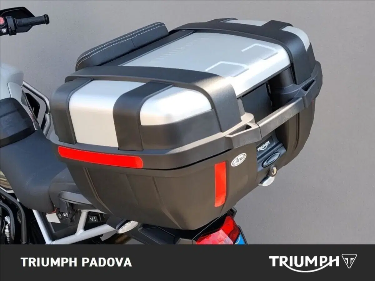Triumph Tiger 900 Rally Pro (2024 - 26) (15)