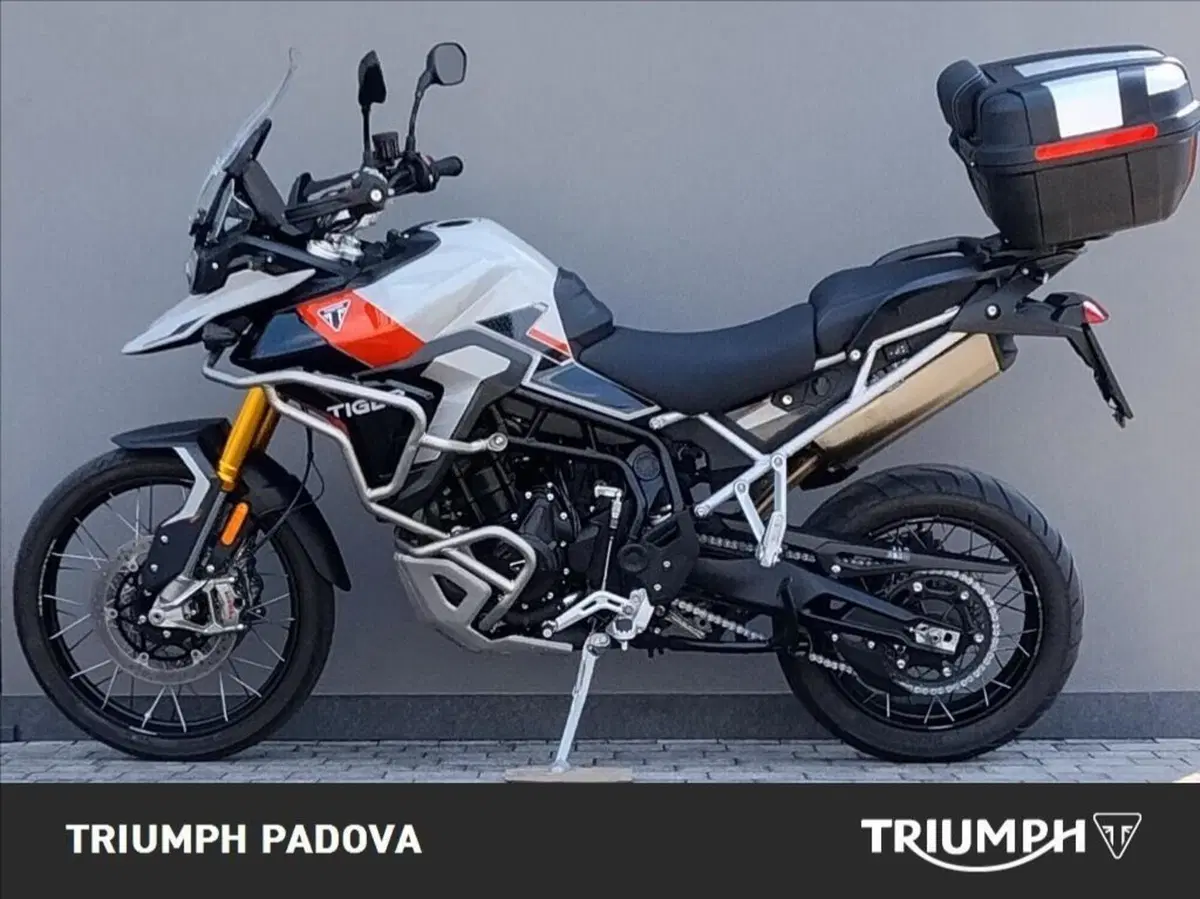 Triumph Tiger 900 Rally Pro (2024 - 26) (6)