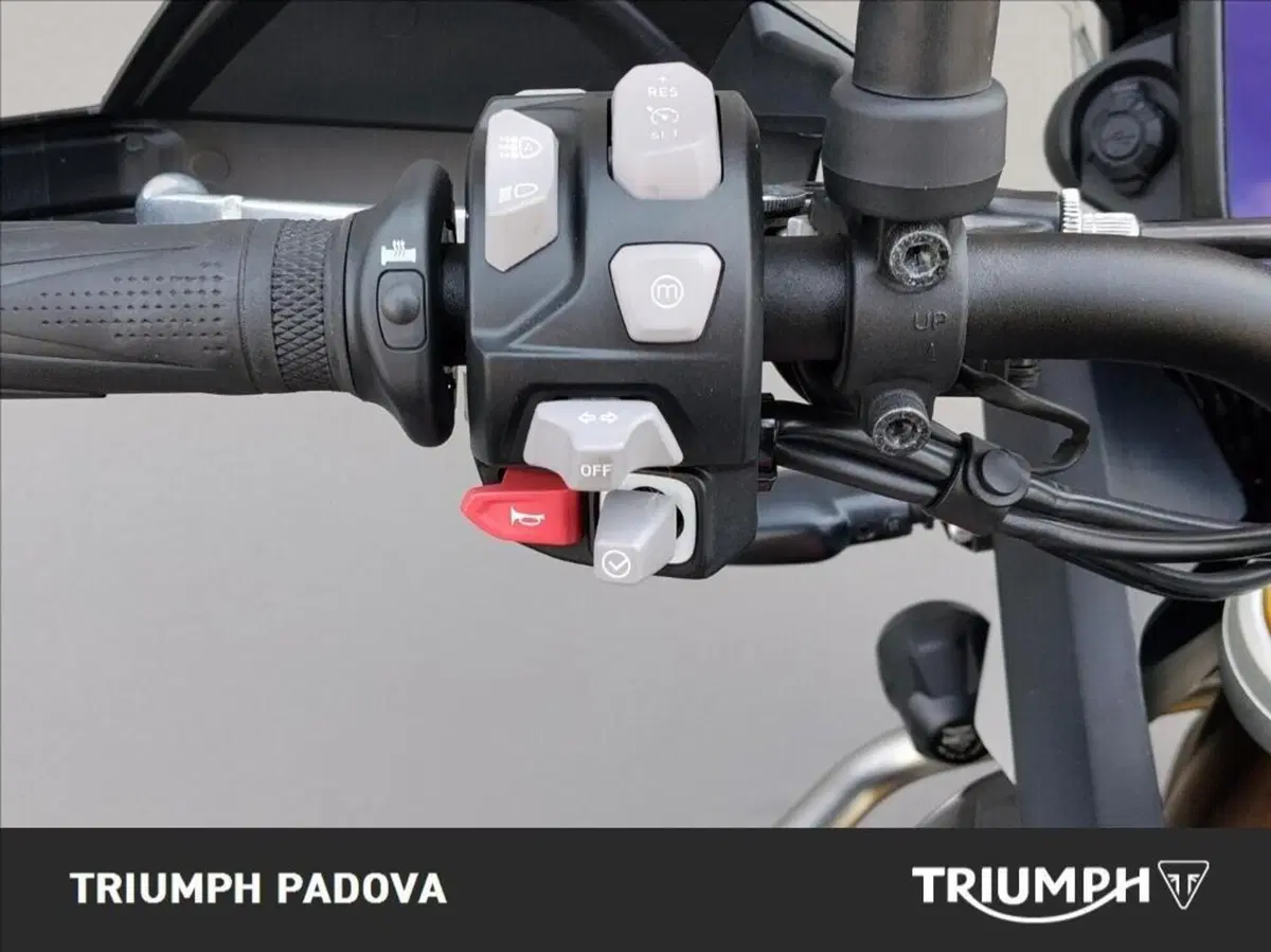 Triumph Tiger 900 Rally Pro (2024 - 26) (12)
