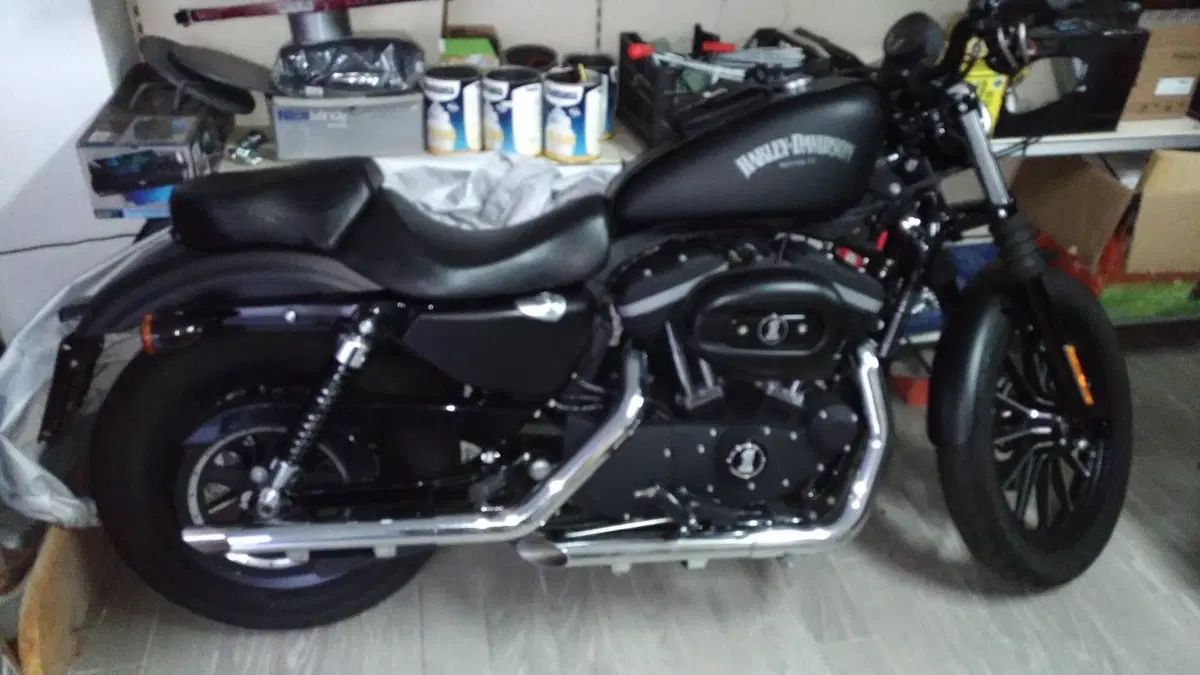 Harley-Davidson 883 Iron (2012 - 14) - XL 883N (2)