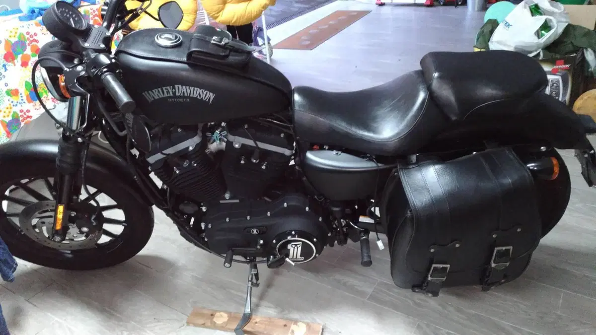 Harley-Davidson 883 Iron (2012 - 14) - XL 883N (3)