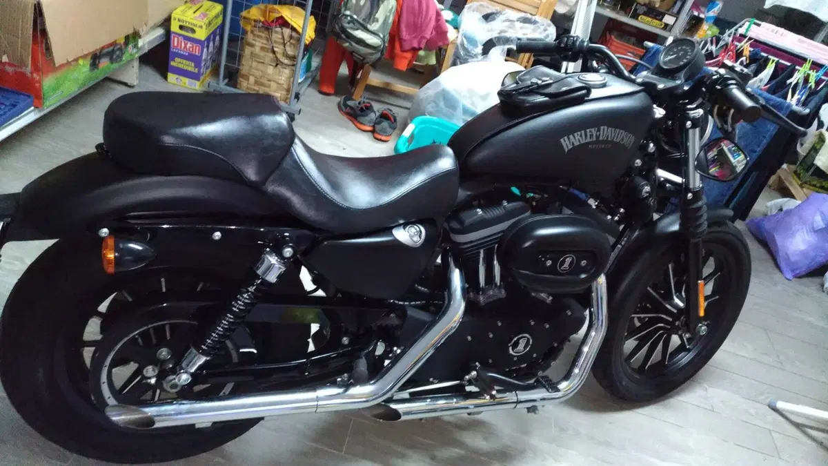 Harley-Davidson 883 Iron (2012 - 14) - XL 883N (5)