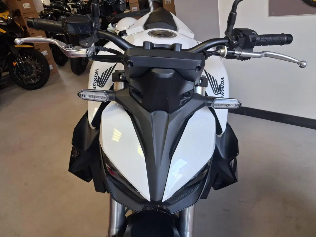 Honda CB 1000 Hornet (2025 - 26) (3)
