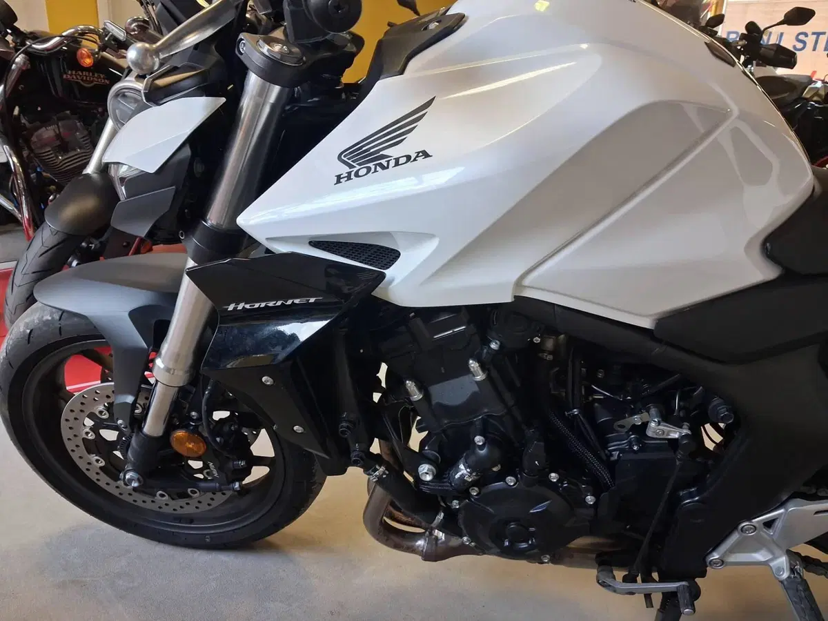 Honda CB 1000 Hornet (2025 - 26) (4)