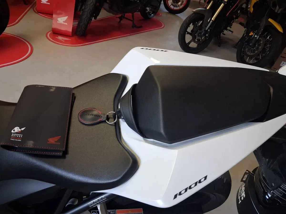Honda CB 1000 Hornet (2025 - 26) (6)