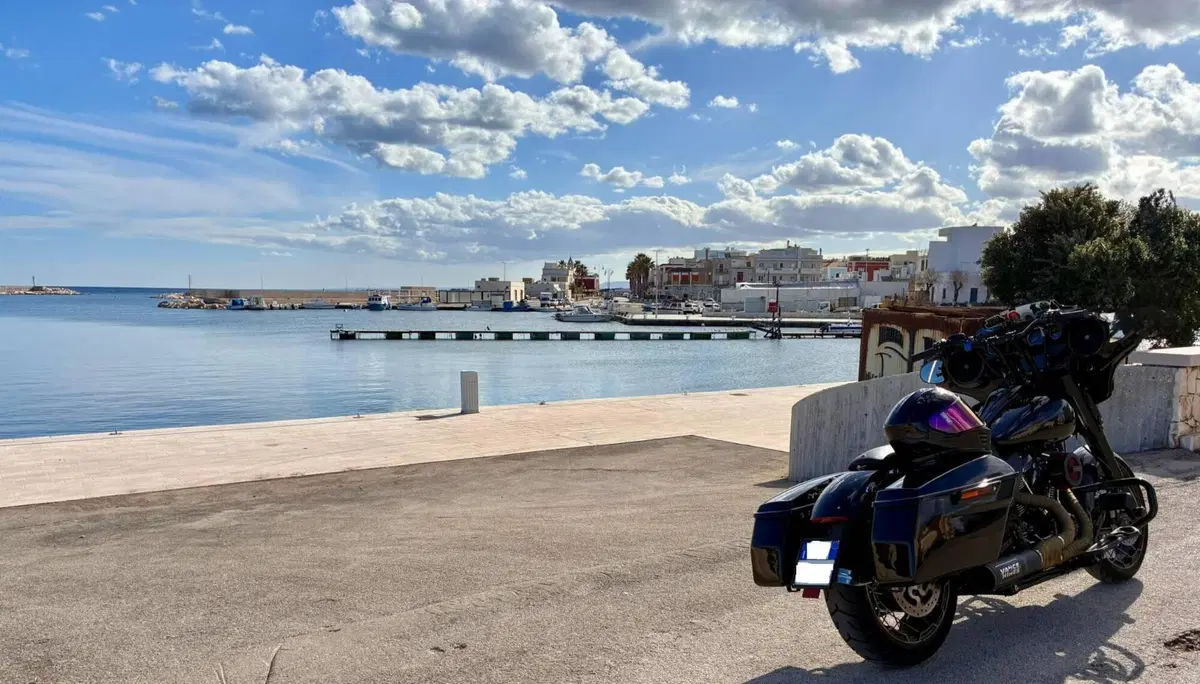 Harley-Davidson 107 Street Glide Special (2017 - 19) - FLHXS (7)