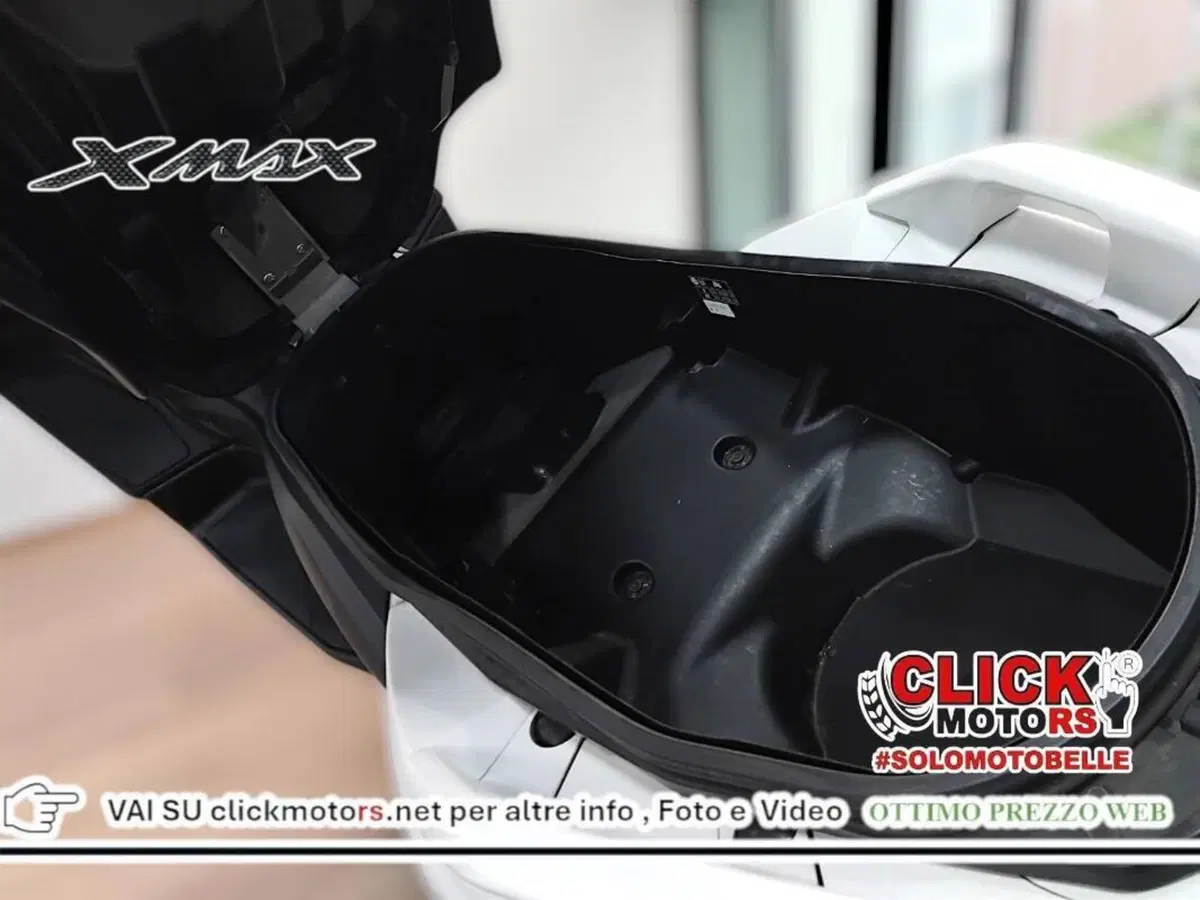Yamaha X-Max 300 ABS (2017 - 20) (19)