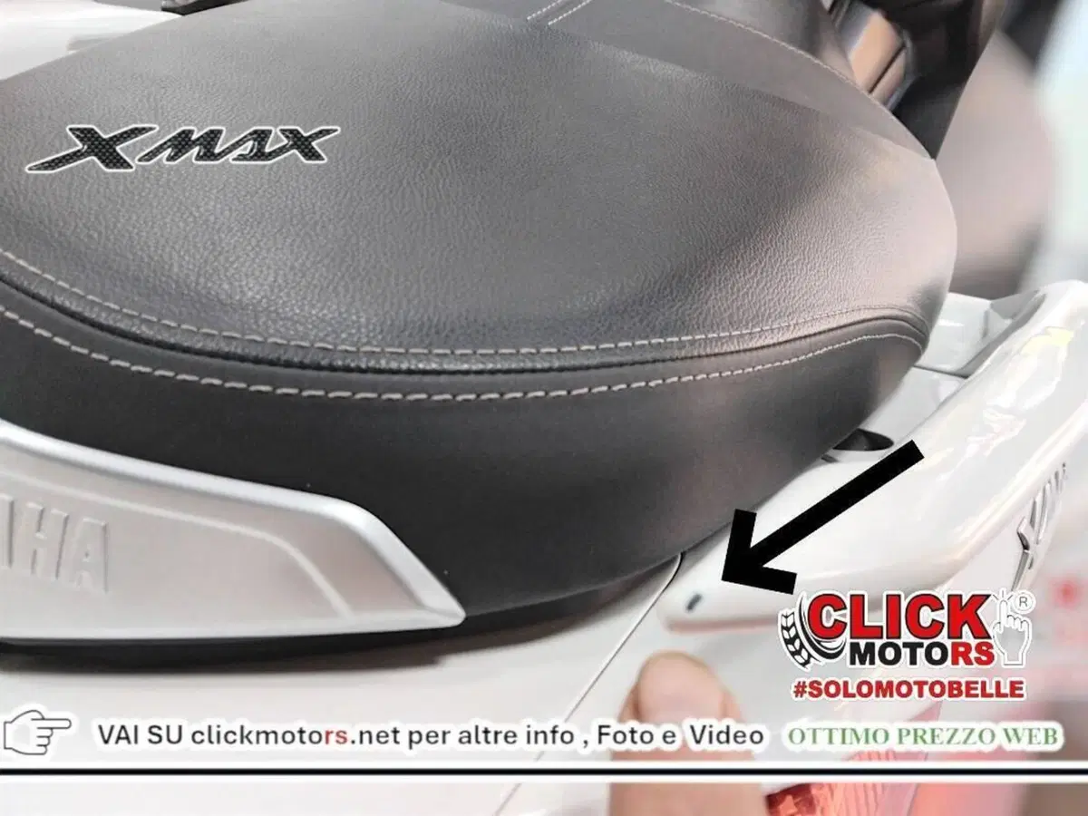 Yamaha X-Max 300 ABS (2017 - 20) (16)