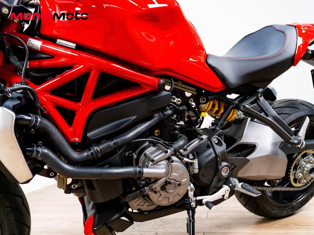 Ducati Monster 1200 (2014 - 16) (9)