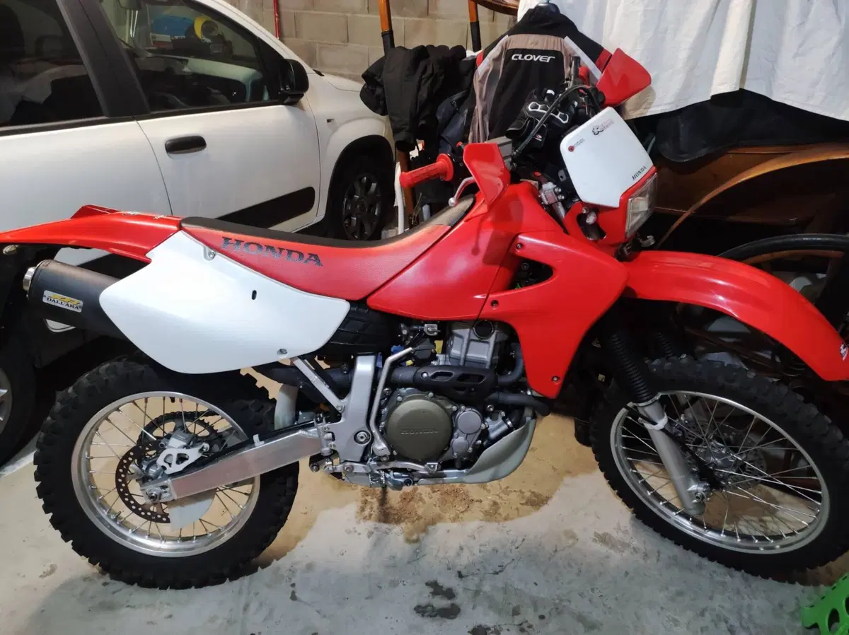 Honda XR 650 R A.E. Dall'Ara