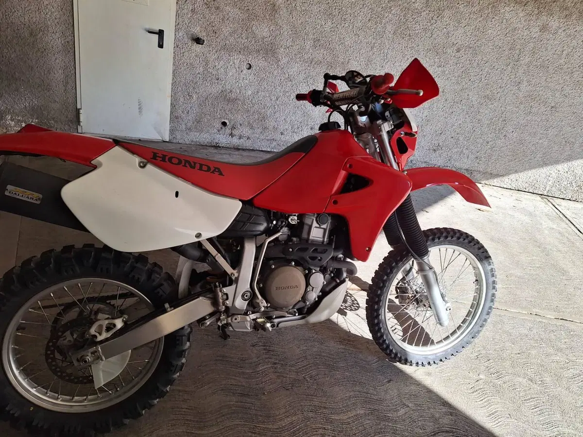 Honda XR 650 R A.E. Dall'Ara (4)