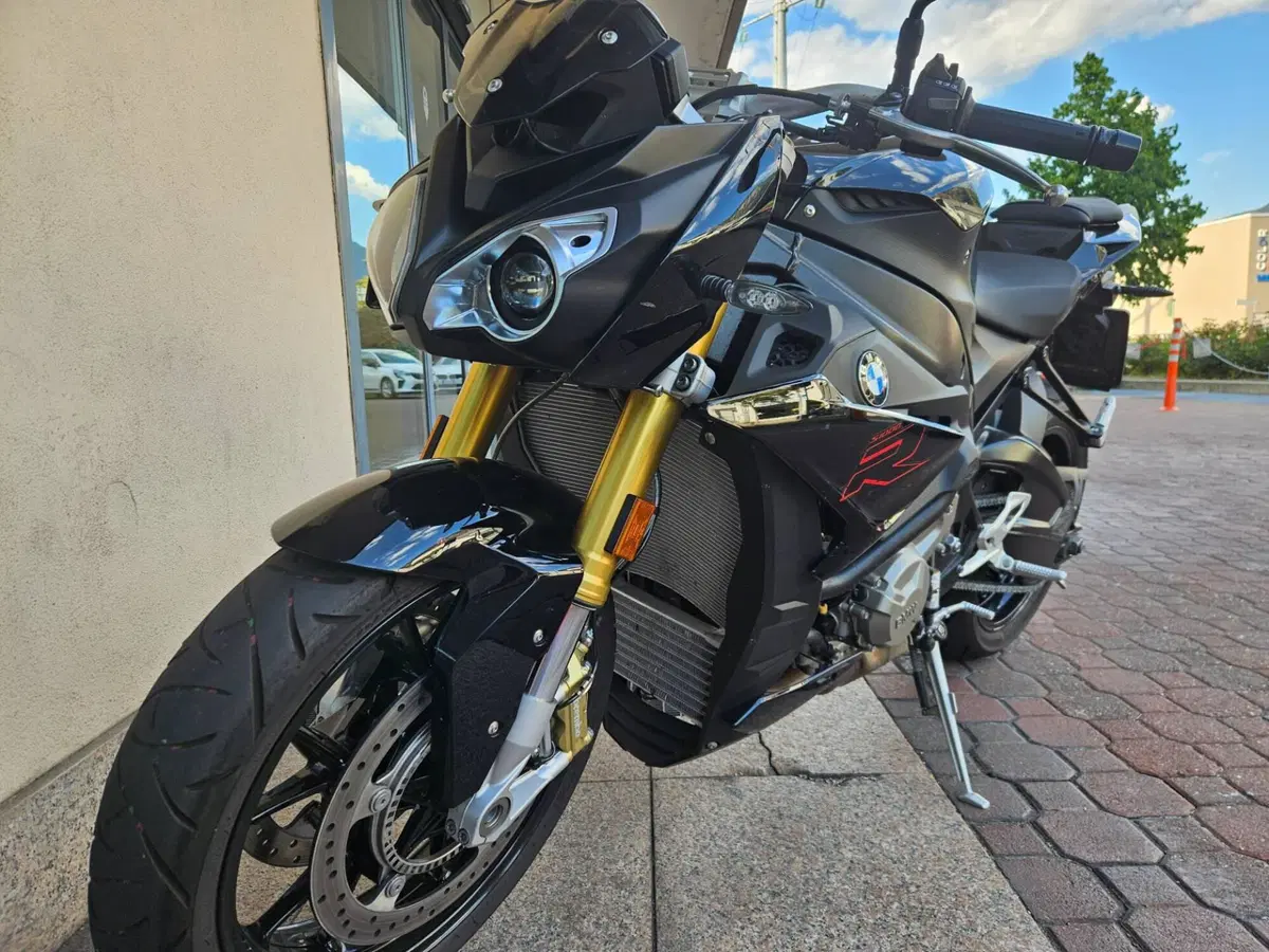 Bmw S 1000 R (2017 - 20) (2)