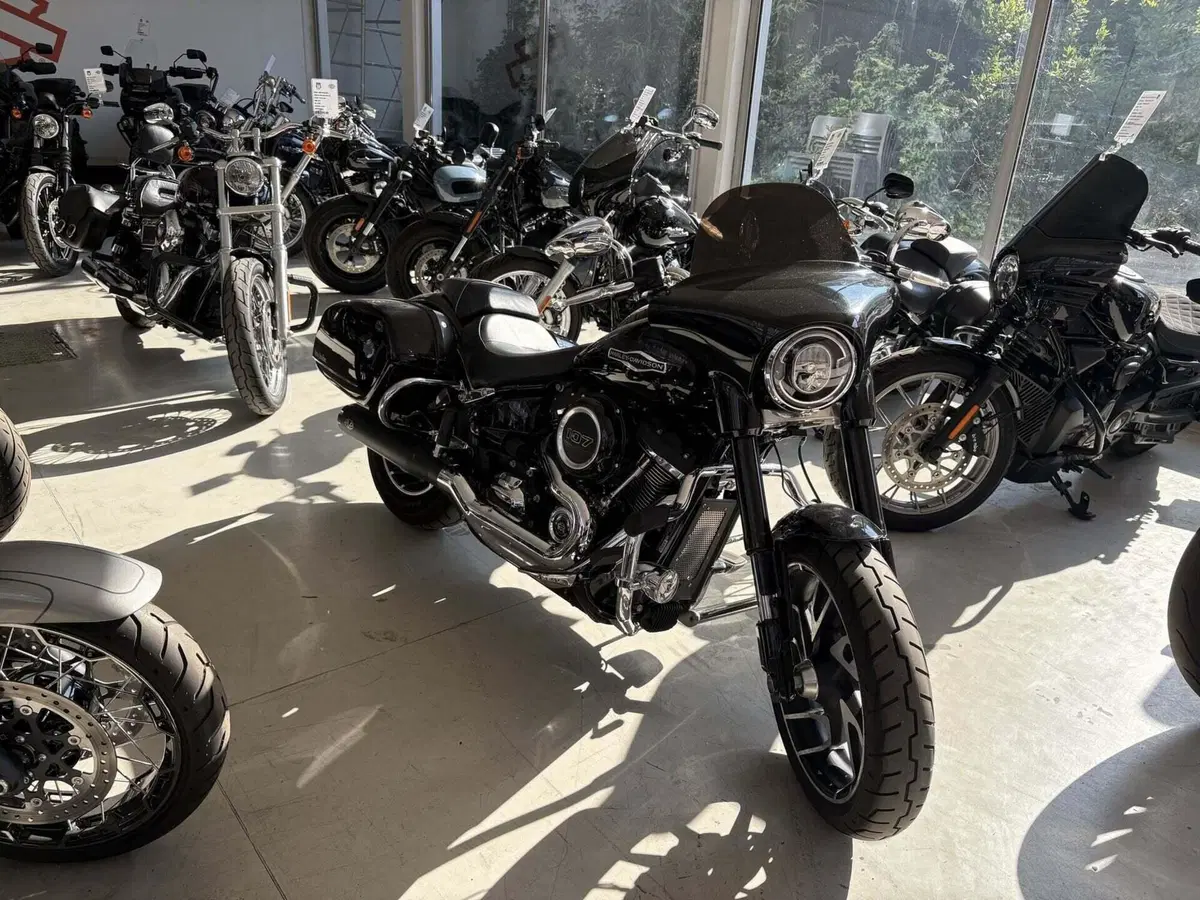 Harley-Davidson 107 Sport Glide (2018 - 20)