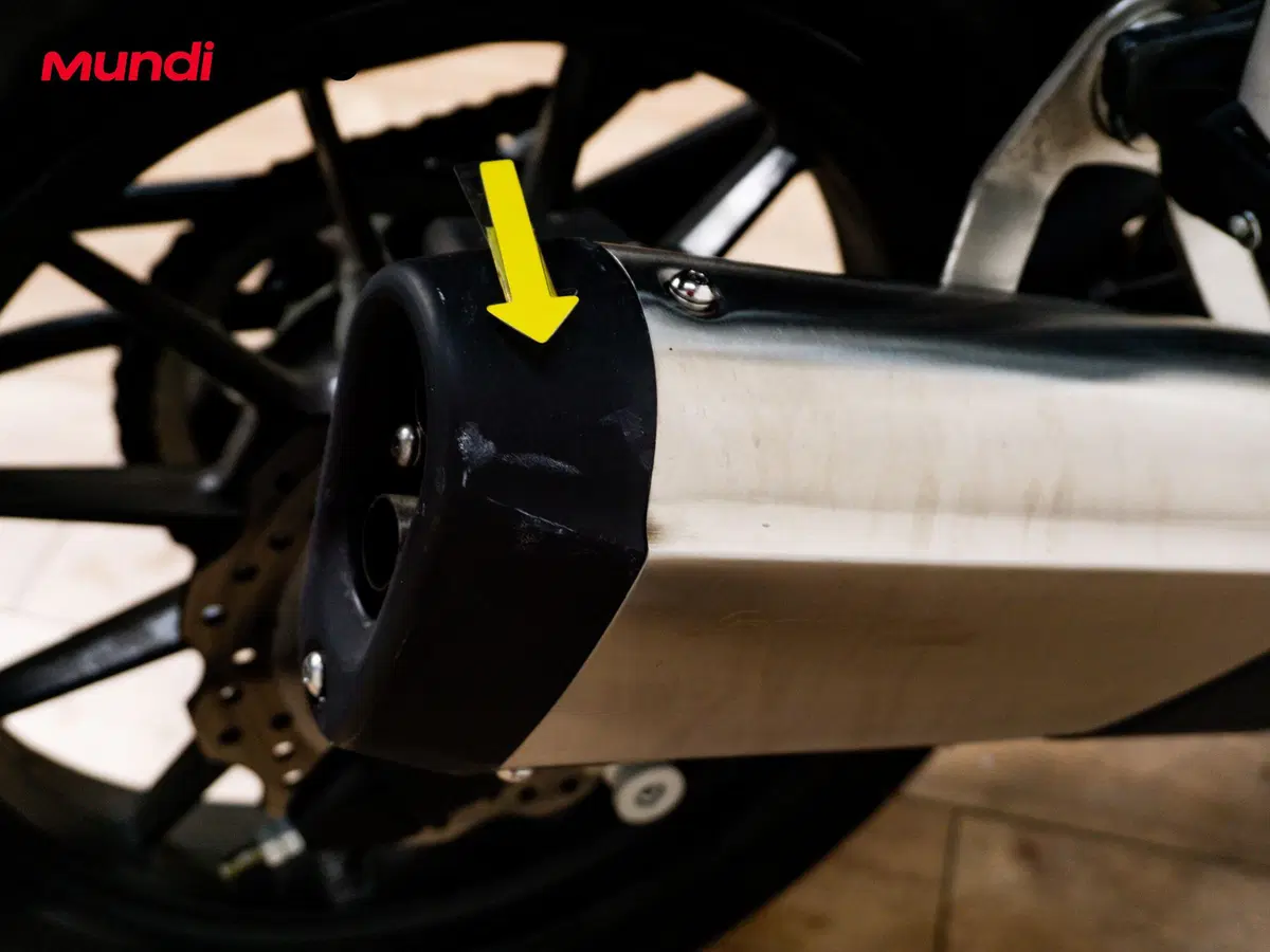Benelli Leoncino 250 (2019 - 20) (16)