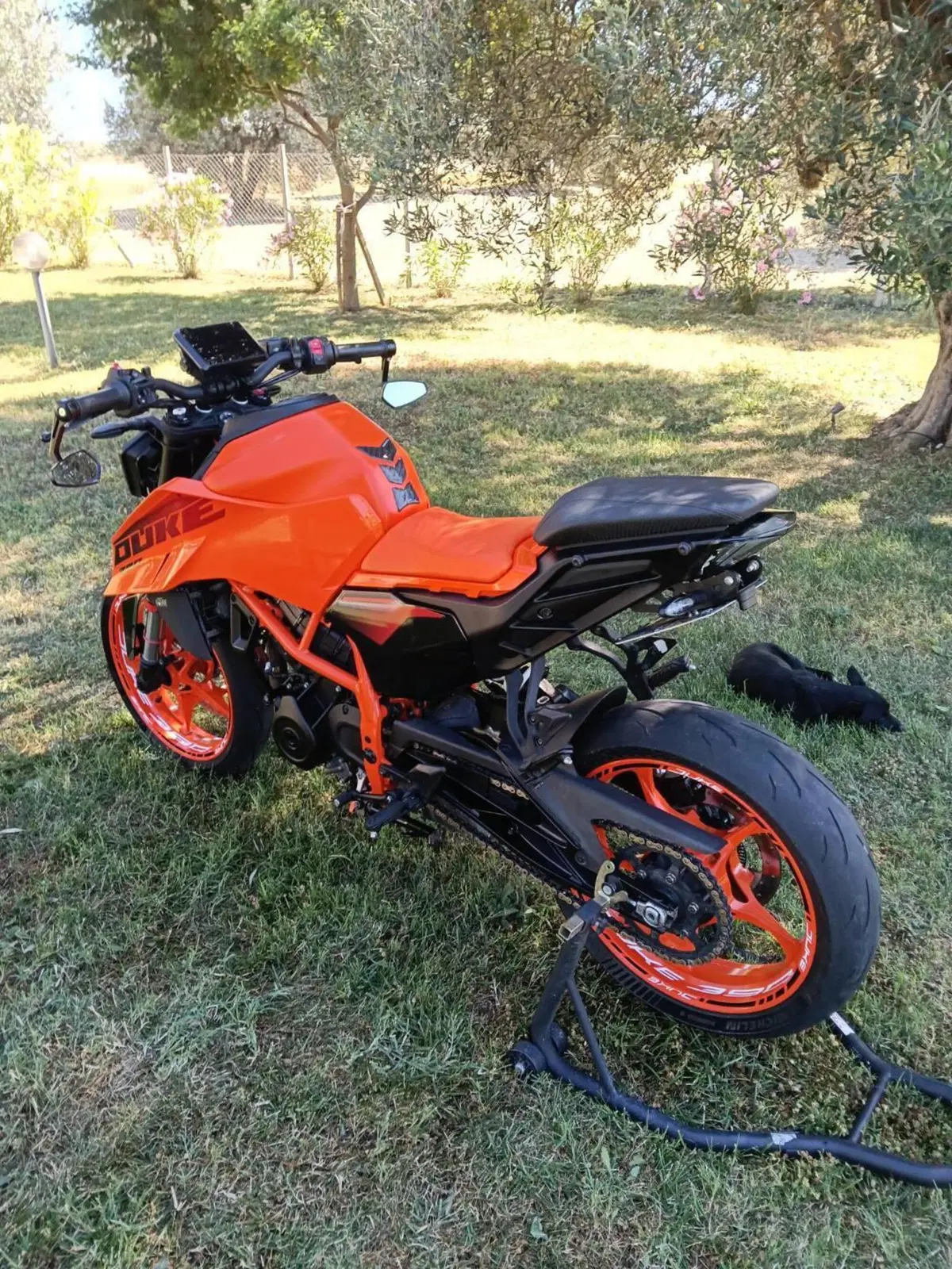 KTM 390 Duke (2024 - 25) (15)