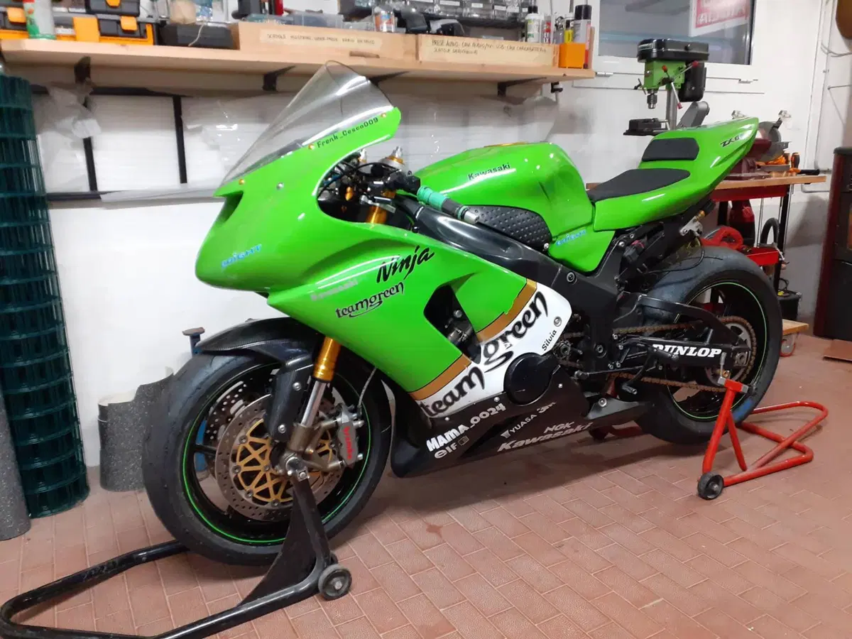 Kawasaki Ninja 636 ZX-6R (2005 - 06) (4)