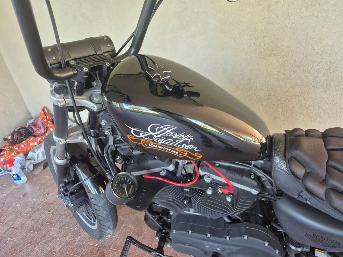 Harley-Davidson 883 R (2006 - 07) - XL 883R (7)