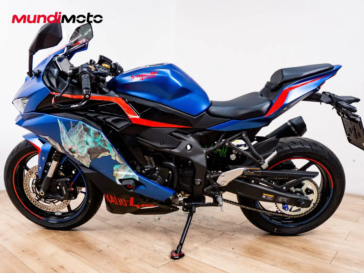 Kawasaki Ninja ZX-4R (2024 - 26) (5)
