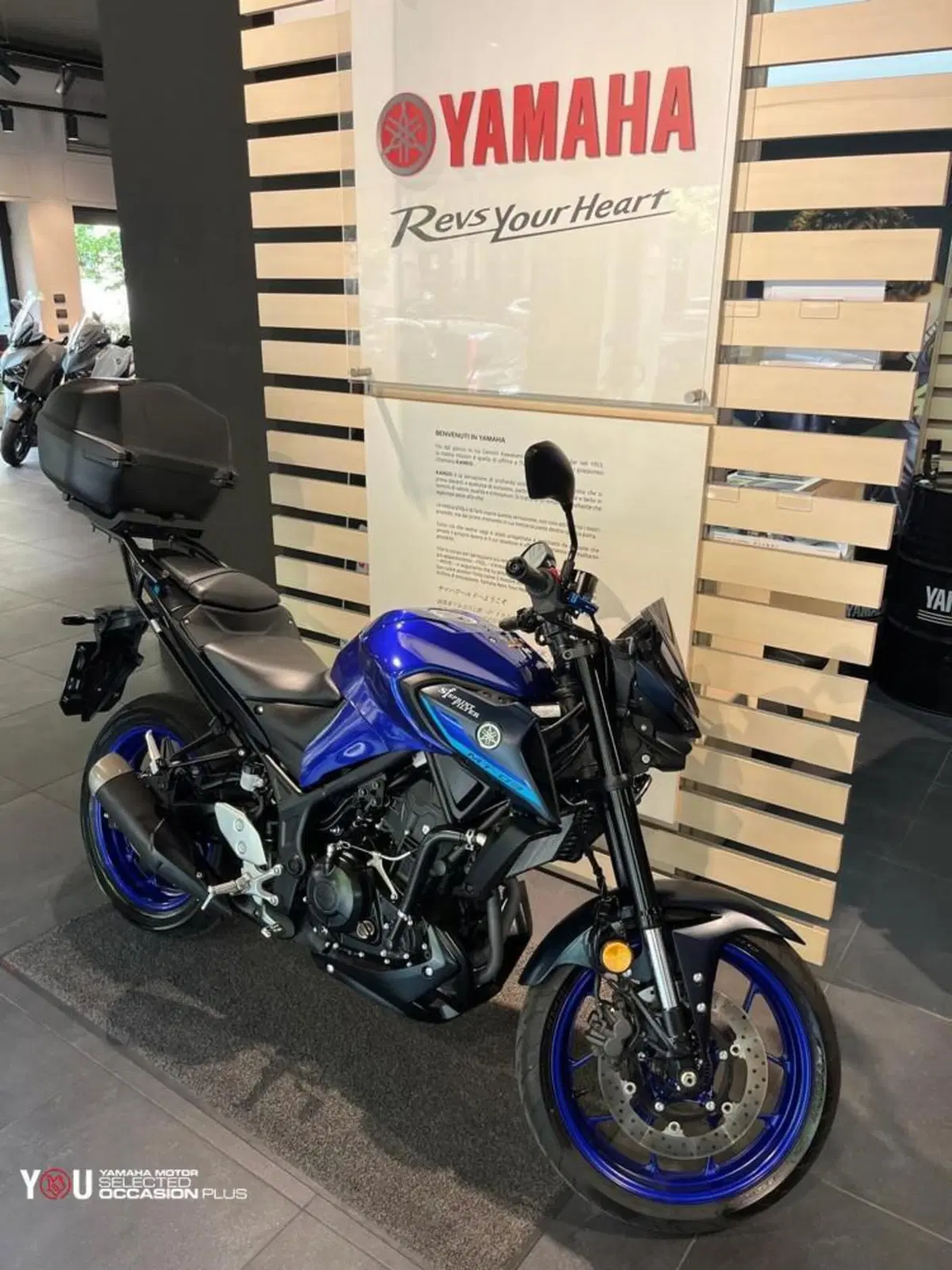 Yamaha MT-03 (2022 - 24) (2)