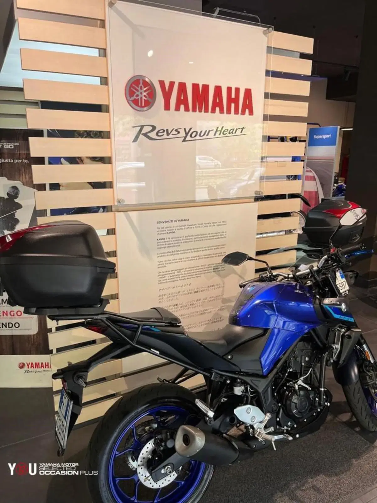 Yamaha MT-03 (2022 - 24) (4)