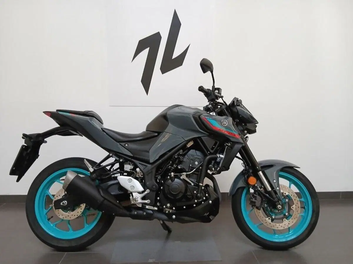 Yamaha MT-03 (2022 - 24) (3)