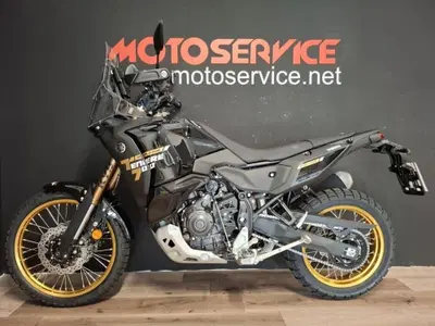 Yamaha T&eacute;n&eacute;r&eacute; 700 World Raid (2026) usata
