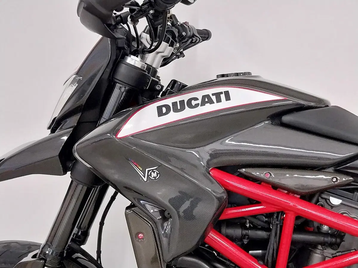 Ducati Hypermotard 821 (2013 - 15) (15)