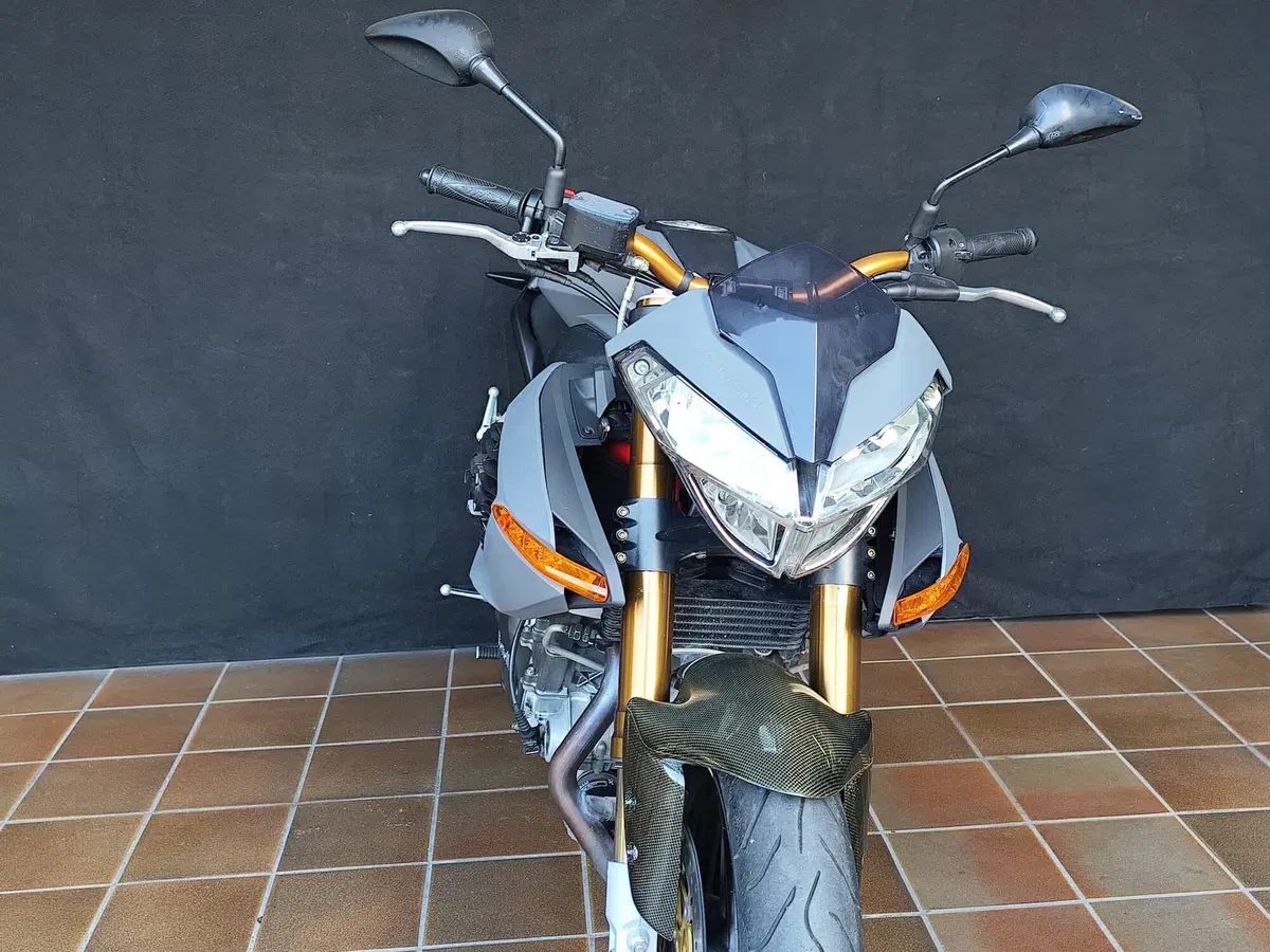 Benelli TNT 1130 Sport (2005 - 06) (3)