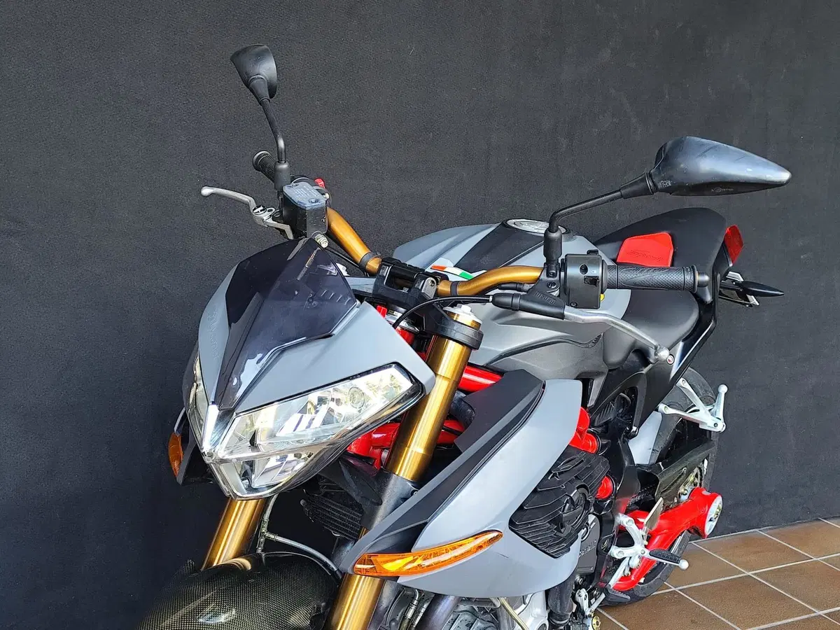 Benelli TNT 1130 Sport (2005 - 06) (8)