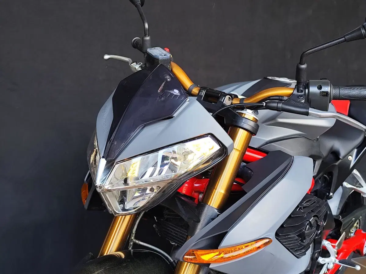 Benelli TNT 1130 Sport (2005 - 06) (9)