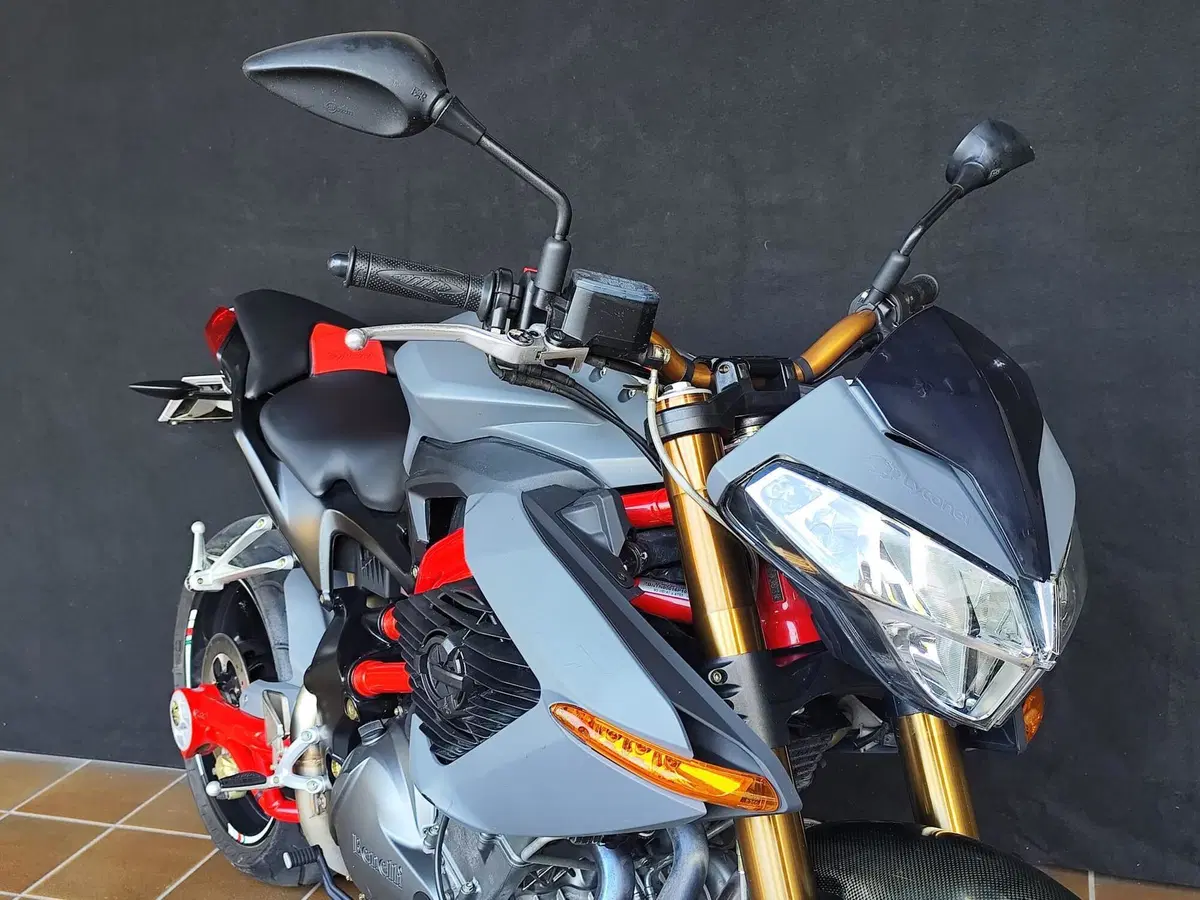 Benelli TNT 1130 Sport (2005 - 06) (10)