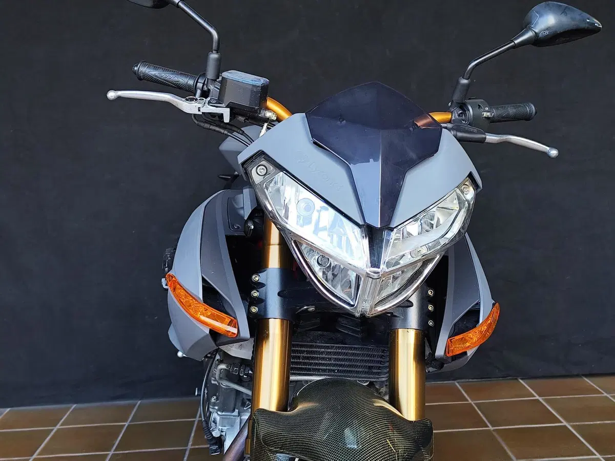 Benelli TNT 1130 Sport (2005 - 06) (11)