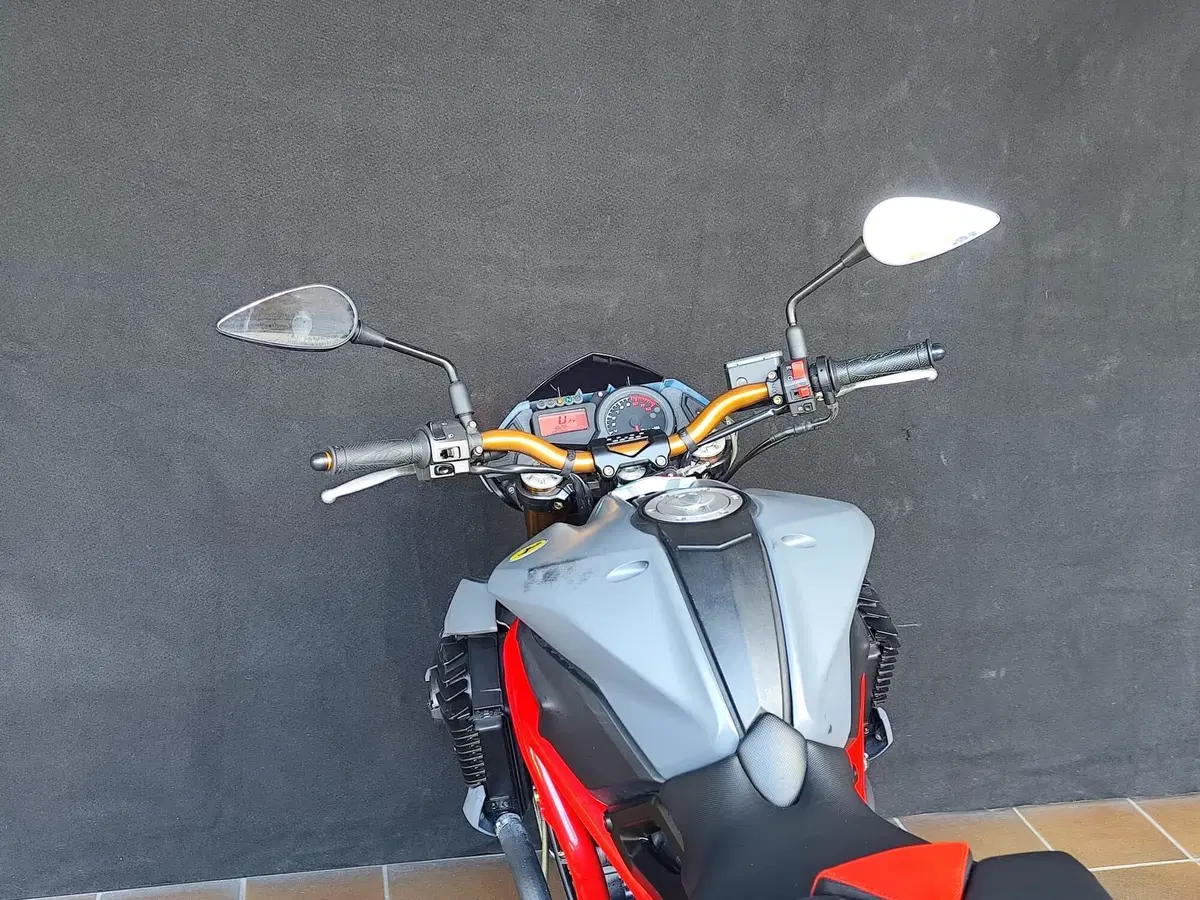 Benelli TNT 1130 Sport (2005 - 06) (15)