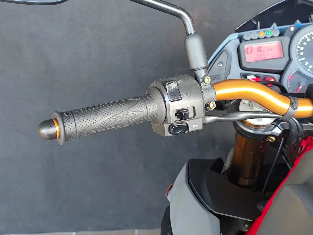Benelli TNT 1130 Sport (2005 - 06) (16)