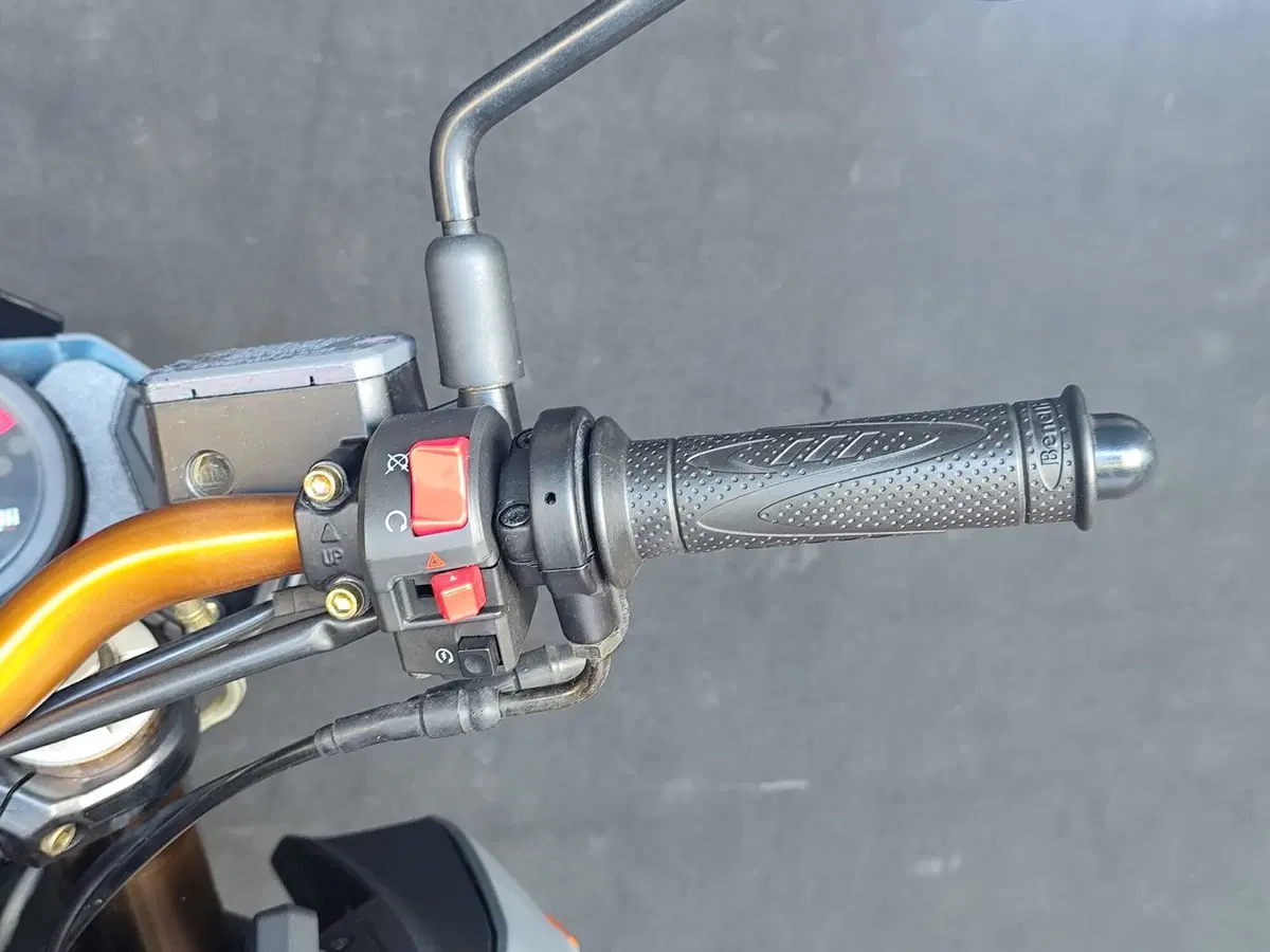 Benelli TNT 1130 Sport (2005 - 06) (17)