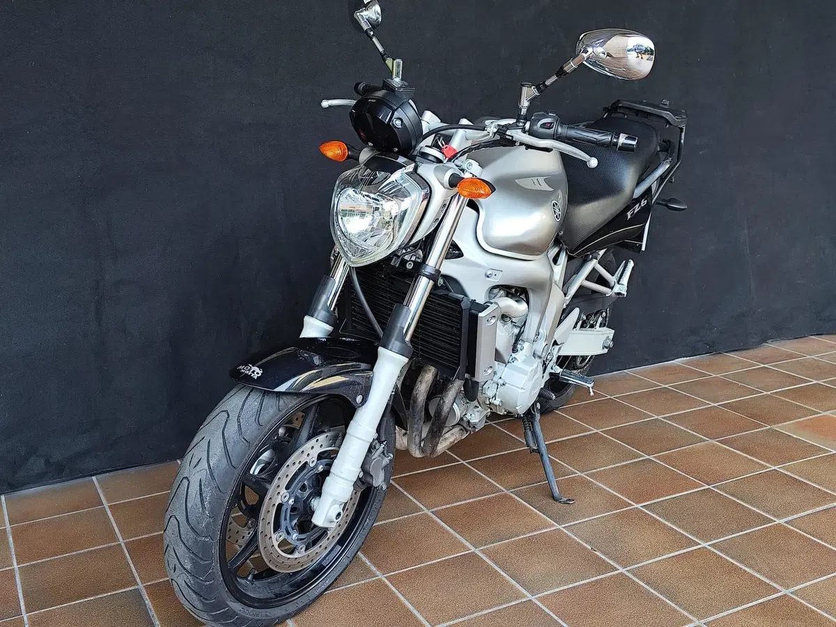 Yamaha FZ6 (2004 - 07) (6)