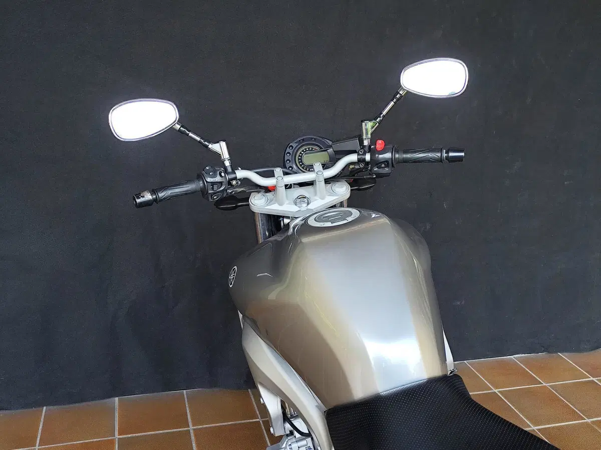 Yamaha FZ6 (2004 - 07) (13)