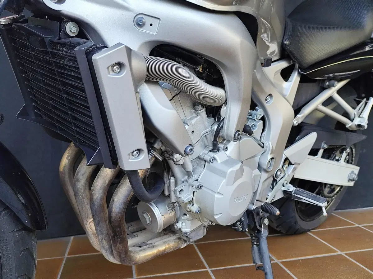 Yamaha FZ6 (2004 - 07) (18)