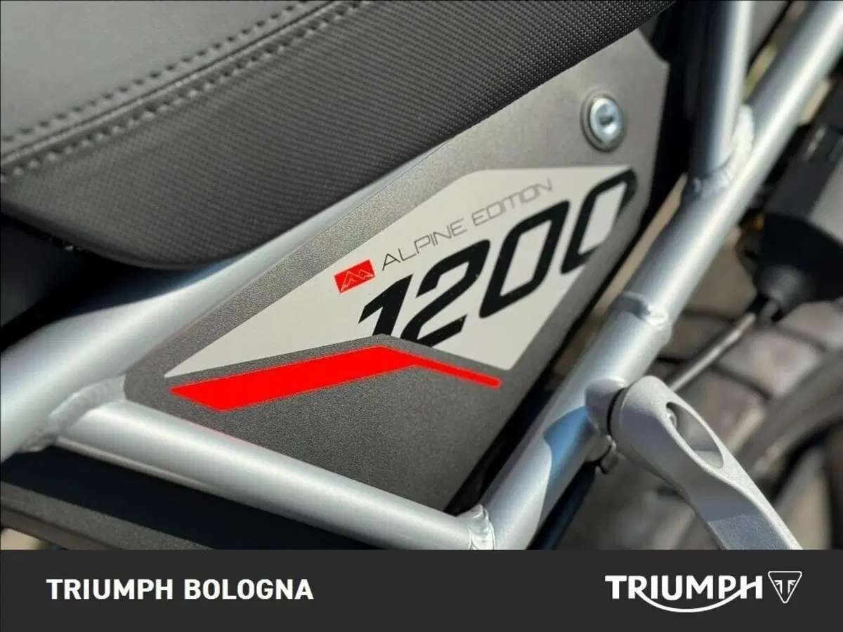 Triumph Tiger 1200 Alpine Special Edition (2026) (3)