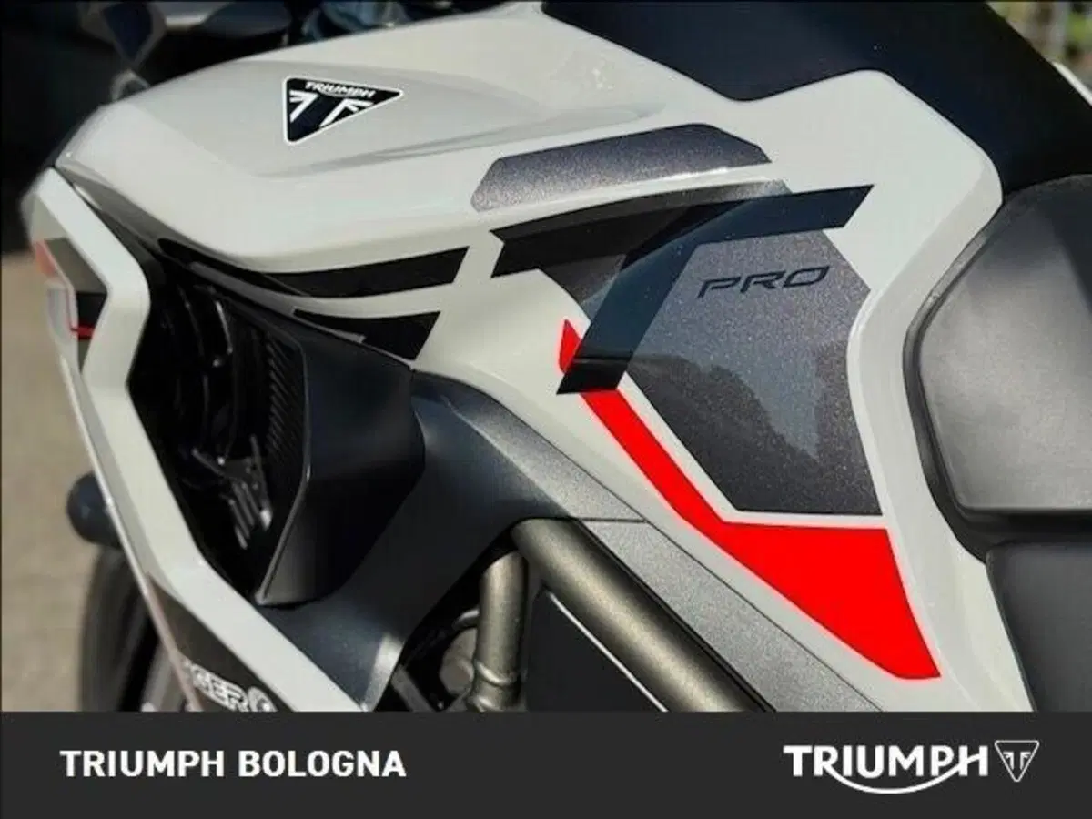 Triumph Tiger 1200 Alpine Special Edition (2026) (4)