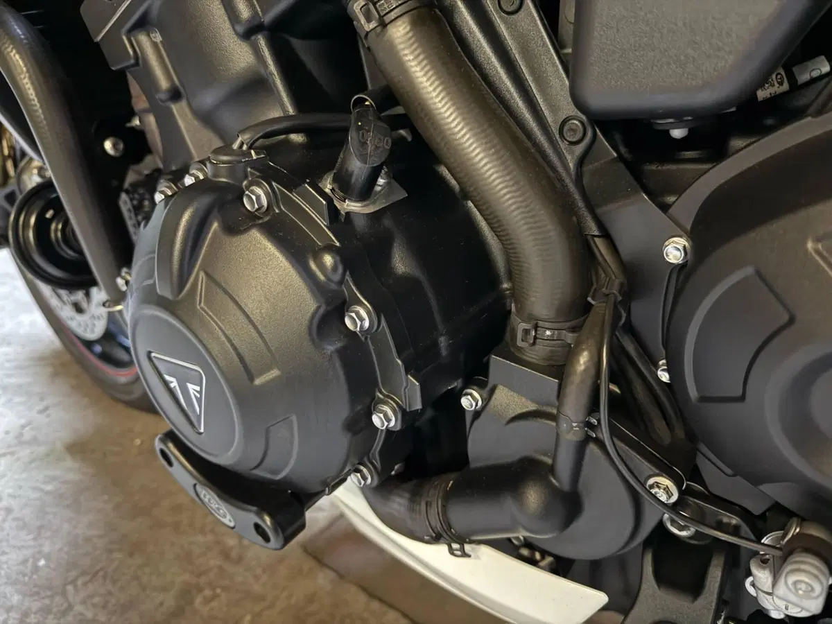 Triumph Speed Triple 1050 RS (2018 - 20) (8)