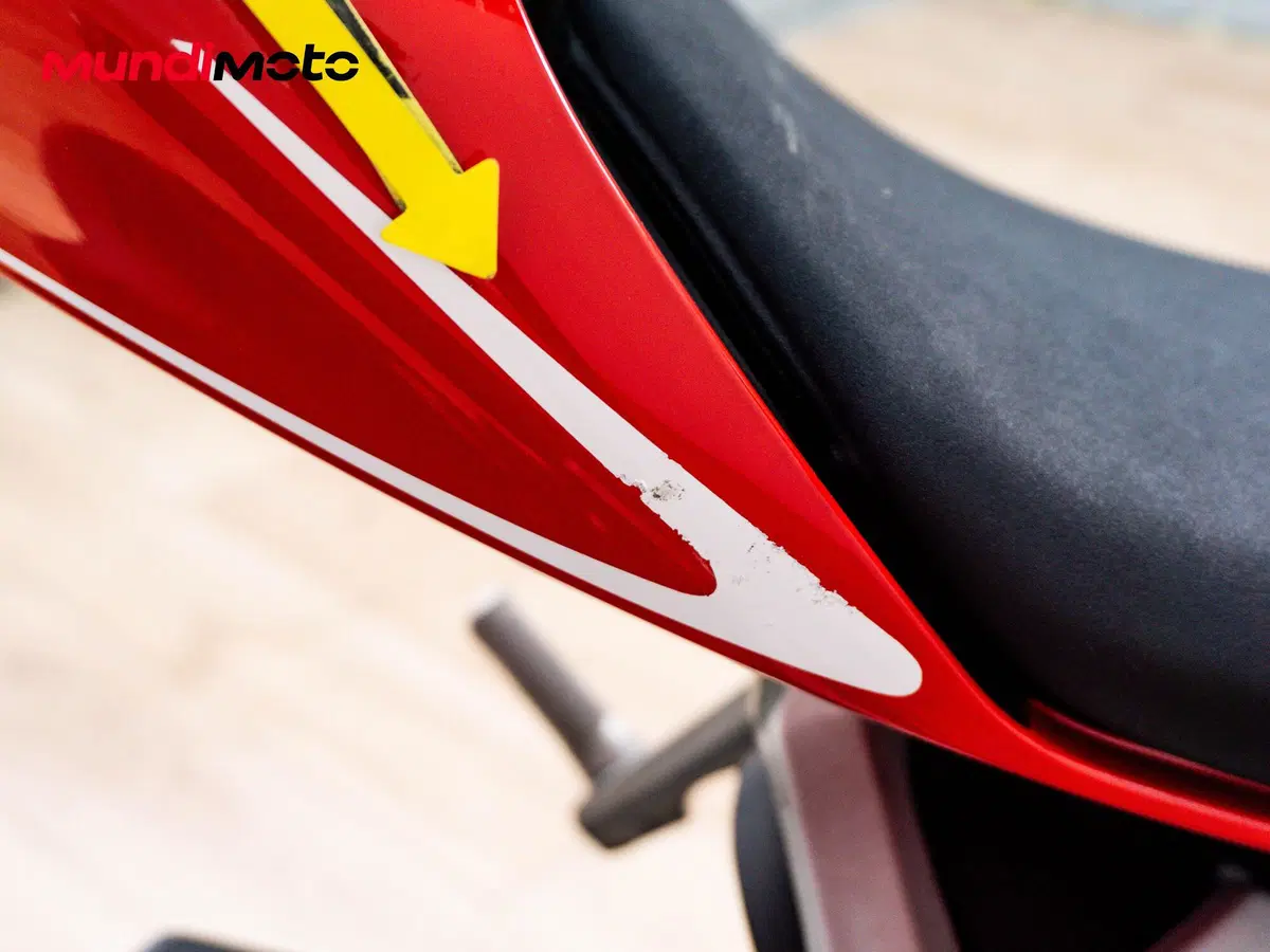 Ducati 959 Panigale Corse (2018 - 19) (13)